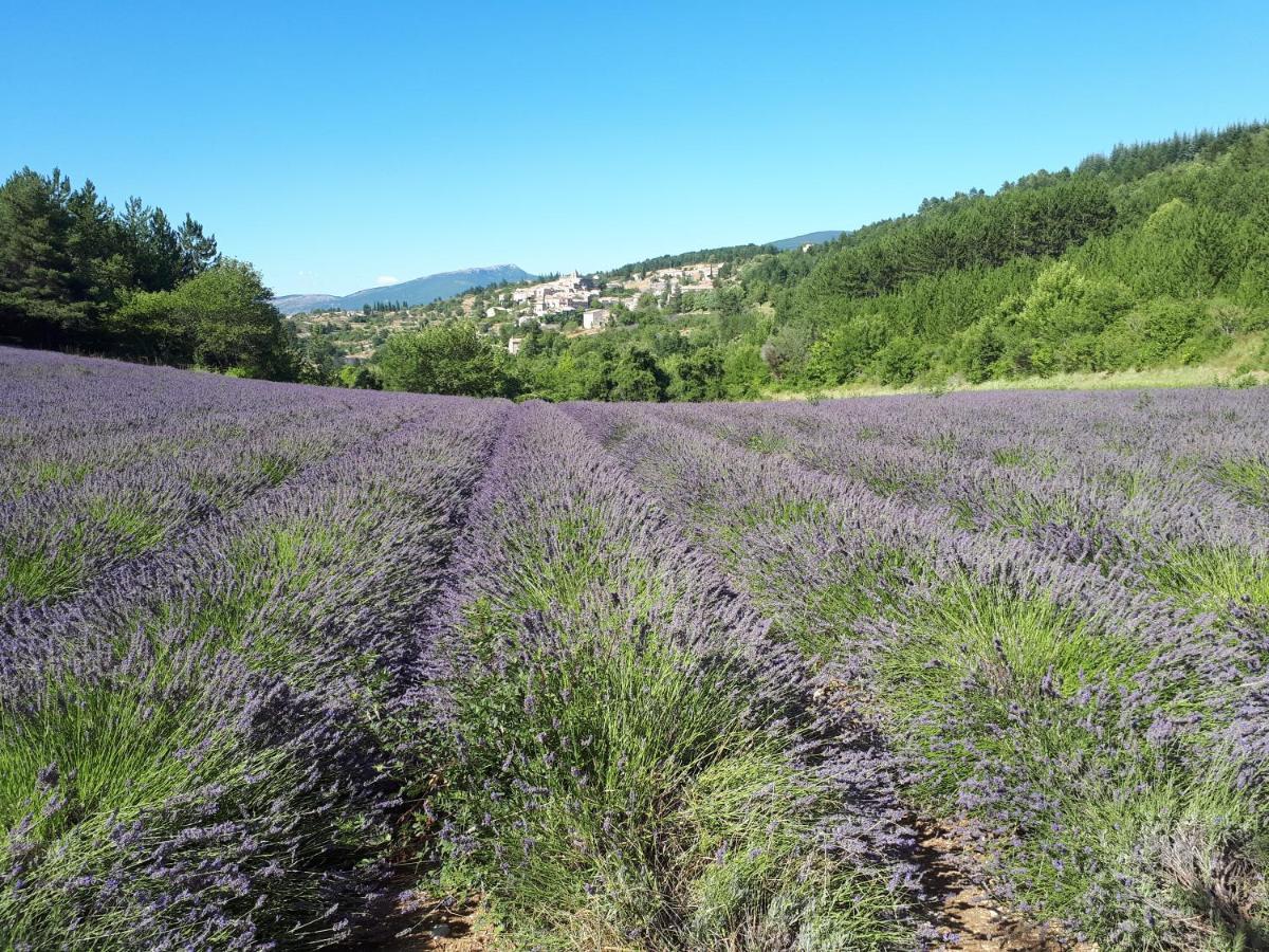 Gite Dentelles Loriol-du-Comtat Exteriér fotografie